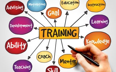 Formation Émotionnelle: Comment Éduquer Votre Coeur pour Diriger l&rsquo;Esprit